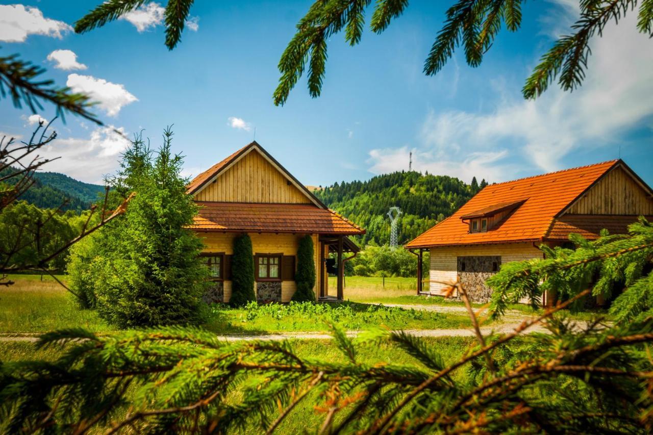 Pensiunea Sapte Flori Gheorgheni  Bagian luar foto