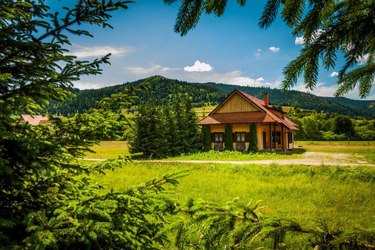 Pensiunea Sapte Flori Gheorgheni  Bagian luar foto