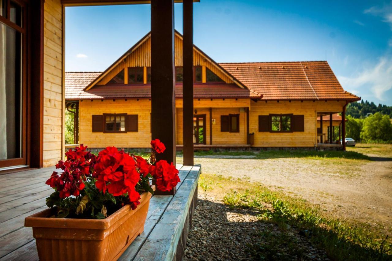 Pensiunea Sapte Flori Gheorgheni  Bagian luar foto