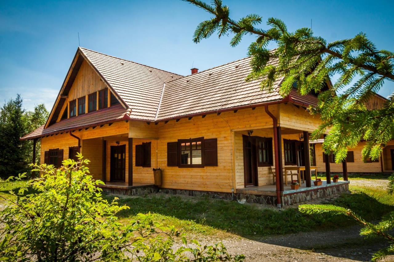 Pensiunea Sapte Flori Gheorgheni  Bagian luar foto