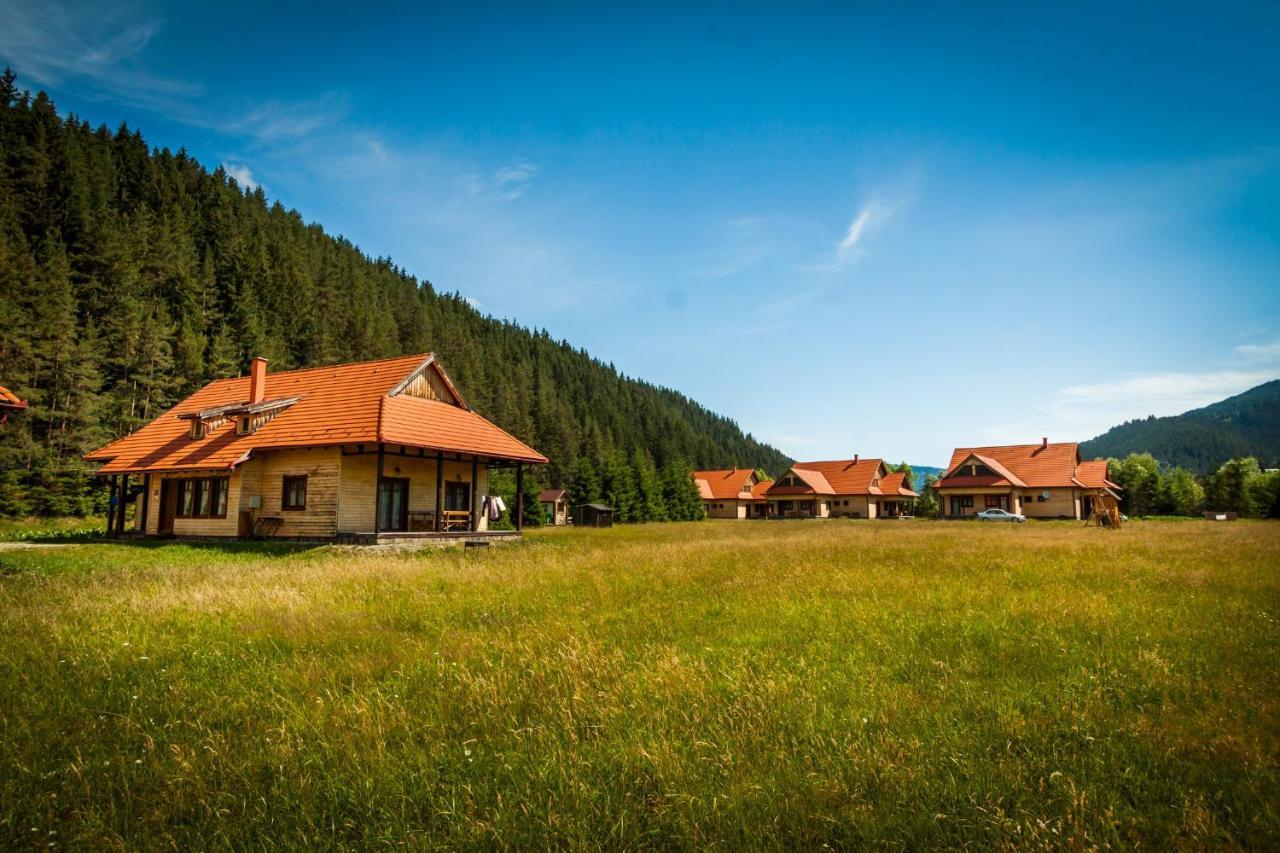 Pensiunea Sapte Flori Gheorgheni  Bagian luar foto